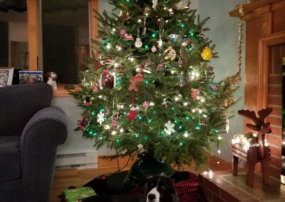Twelve Days of Christmas Ornaments