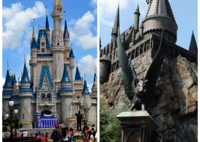 Florida Theme Park Task Force: Conceptual Mandates and Guidelines for Reopening