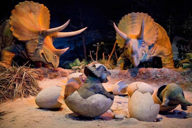 disneyland primeval world stegosaurus