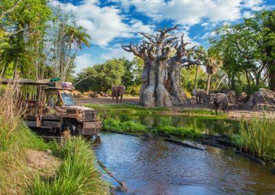 A Few Of My Favorite Things: Favorite Attractions in Disney’s Animal Kingdom