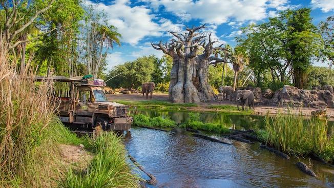 Disney Imagineer Confirms Secret Changes to 'Dinosaur' at Animal Kingdom •