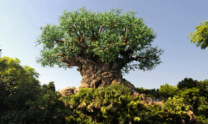 Tree Huggers! An Earth Day Celebration of Disney’s Top Trees