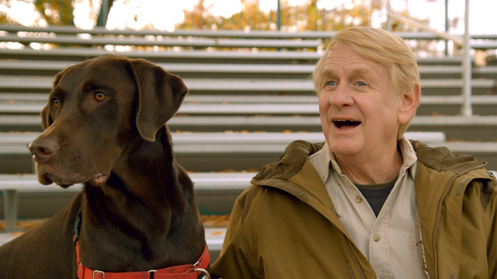 it's a dog's life with bill farmer