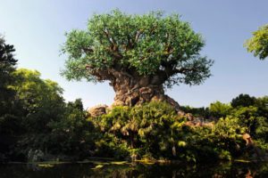 disney tree of life