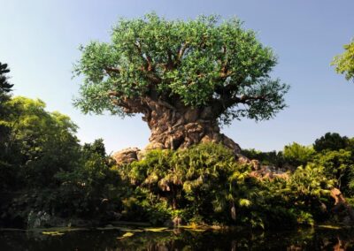 The Art of Conservation: Five(ish) Fun Facts About the Tree of Life in Disney’s Animal Kingdom