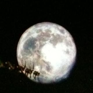 the santa clause hidden mickey in moon