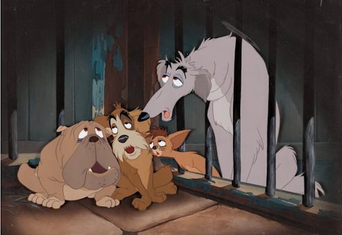 lady and the tramp dog pound