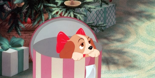 lady and the tramp puppy lady in hat box