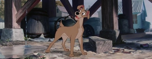 lady and the tramp tramp in downtown