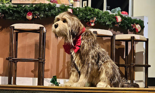 carousel of progress dog rover